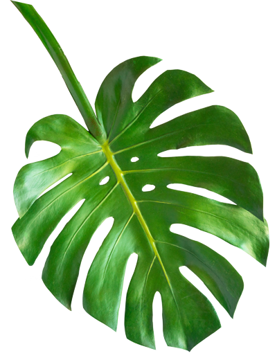 Green Leaves.png